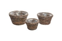 willow twig-planter