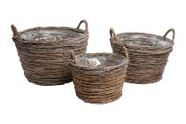 willow twig-planter