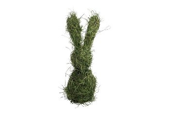 hay rabbit