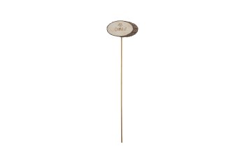 wooden slice on stick, oval