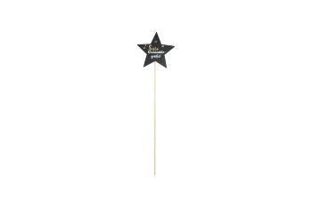 wooden star on stick