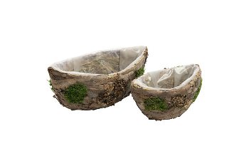 bark/moss planter ship